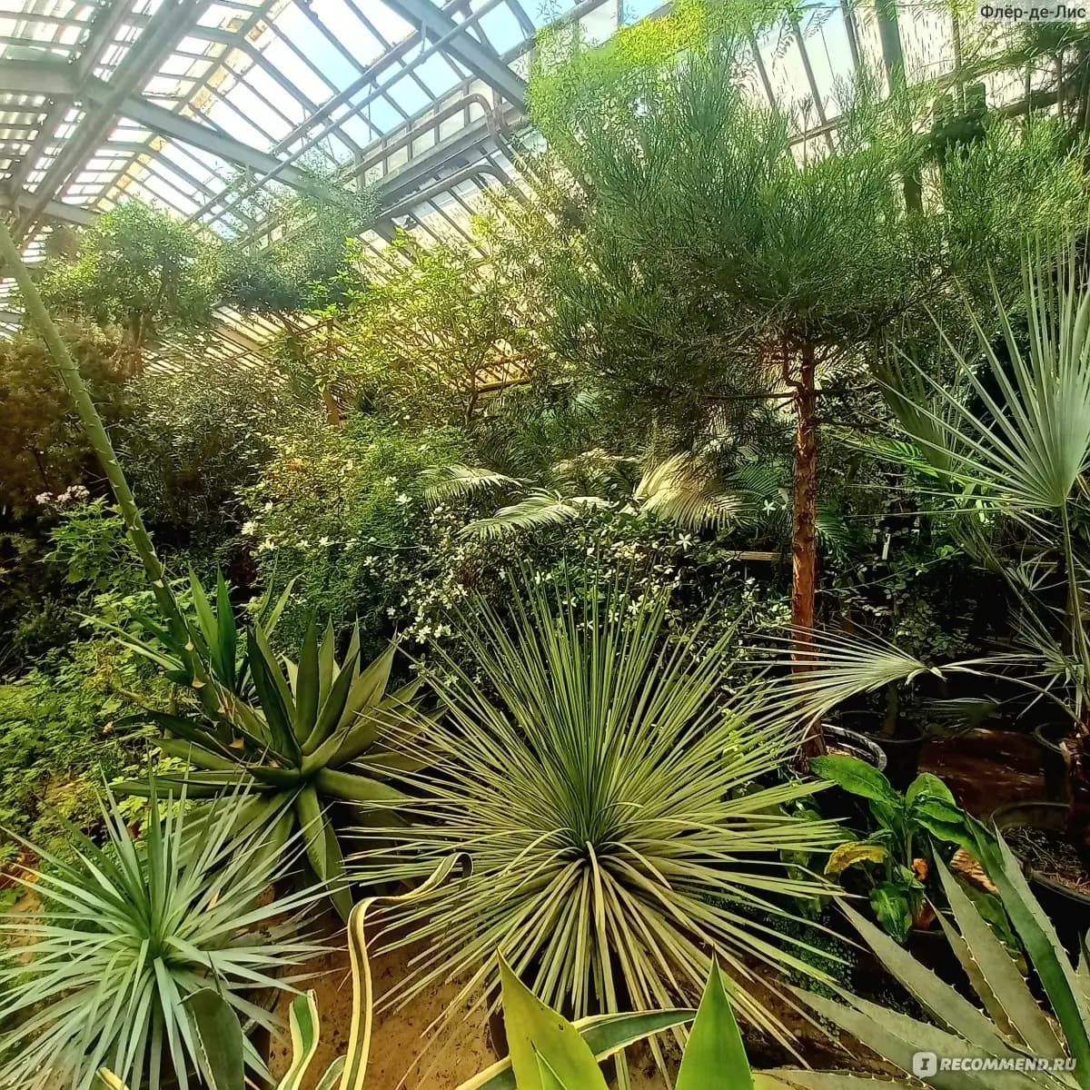 Hauptbotanischer Garten der Russischen Akademie der Wissenschaften